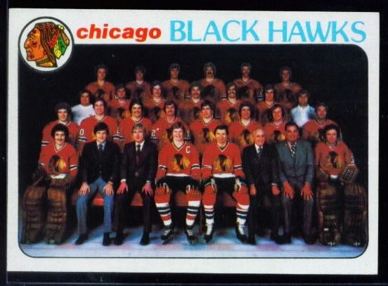 195 Chicago Black Hawks Team